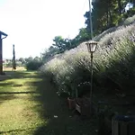 Al San Girolamo